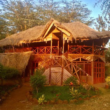 Amboseli Eco Camp Villa Eksteriør billede