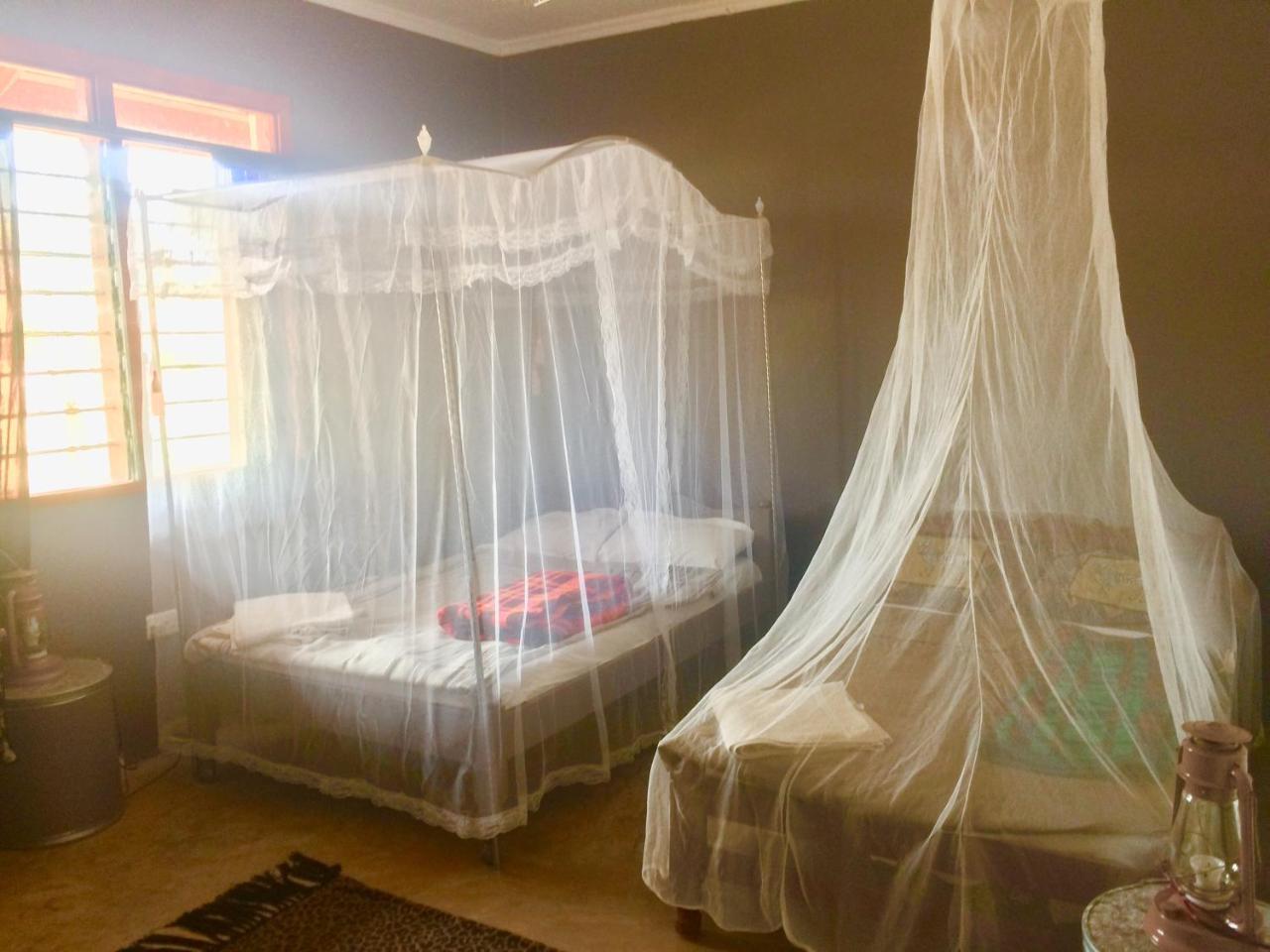 Amboseli Eco Camp Villa Eksteriør billede